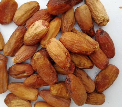 Dates(debino)